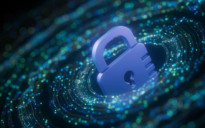 “Top IT Security Tools to Safeguard Your Digital Assets in 2024”